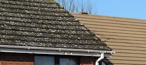 Gutter and roof cleaning in Bexley and Eltham